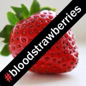 bloodstrawberries